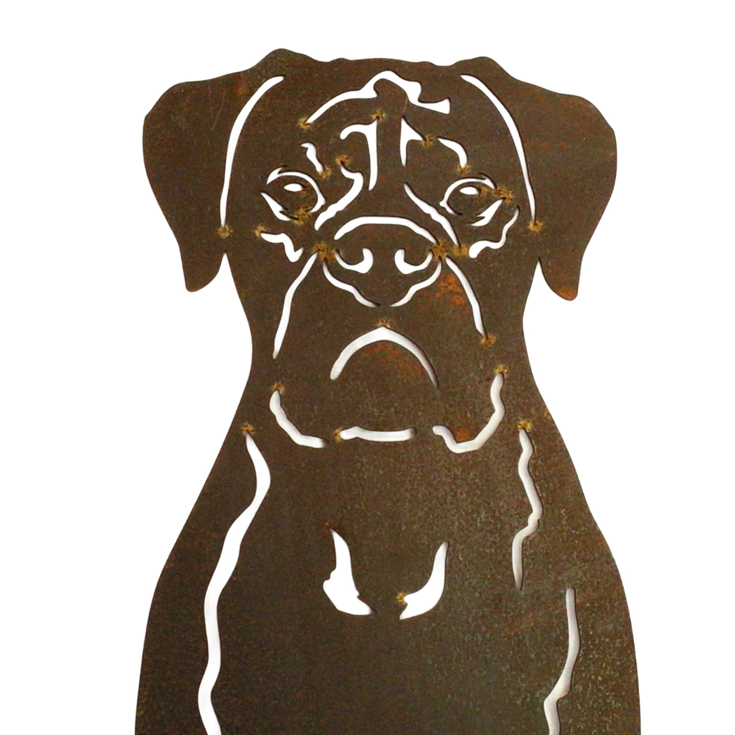 Boxer - sitting