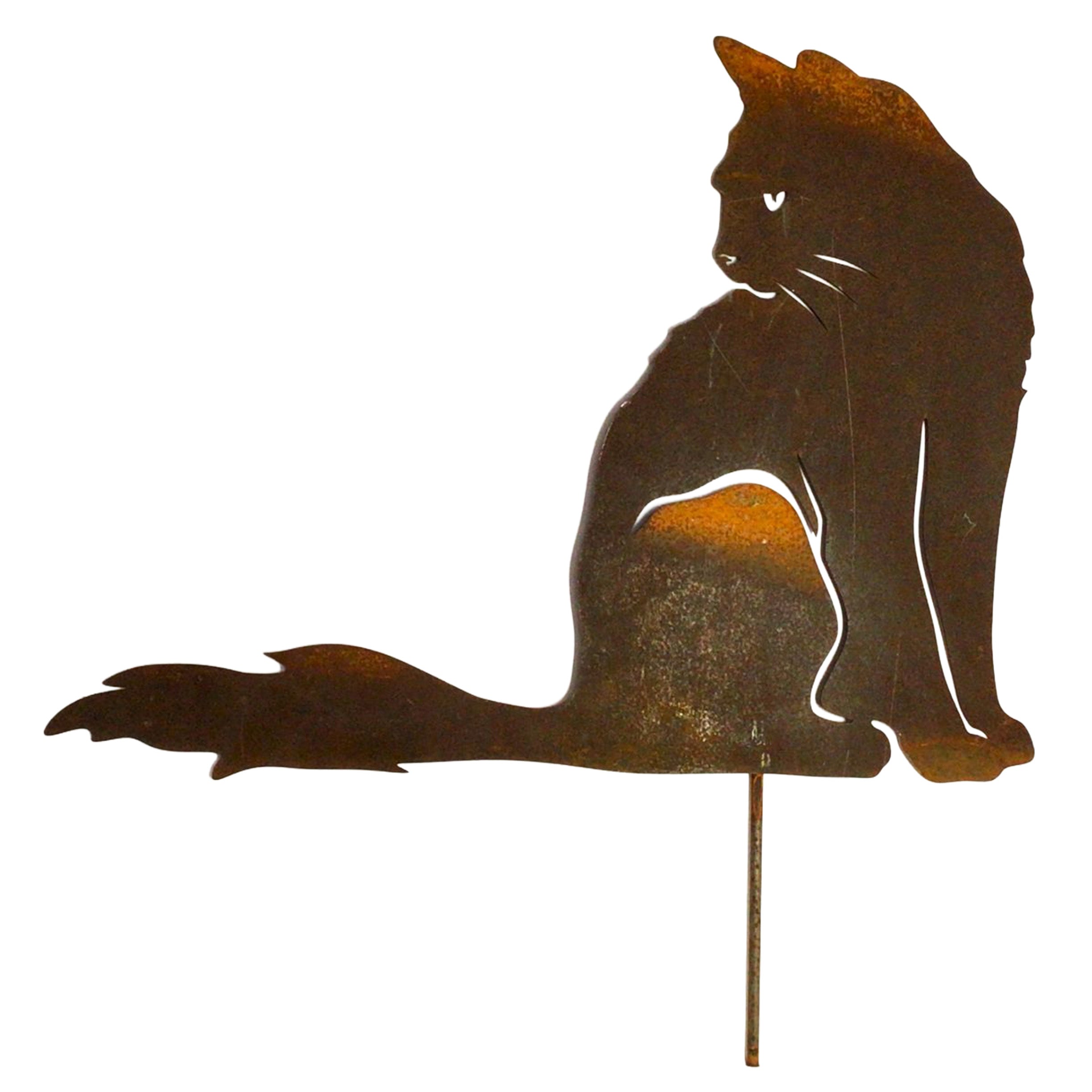 Cat - sitting with fluffy tail