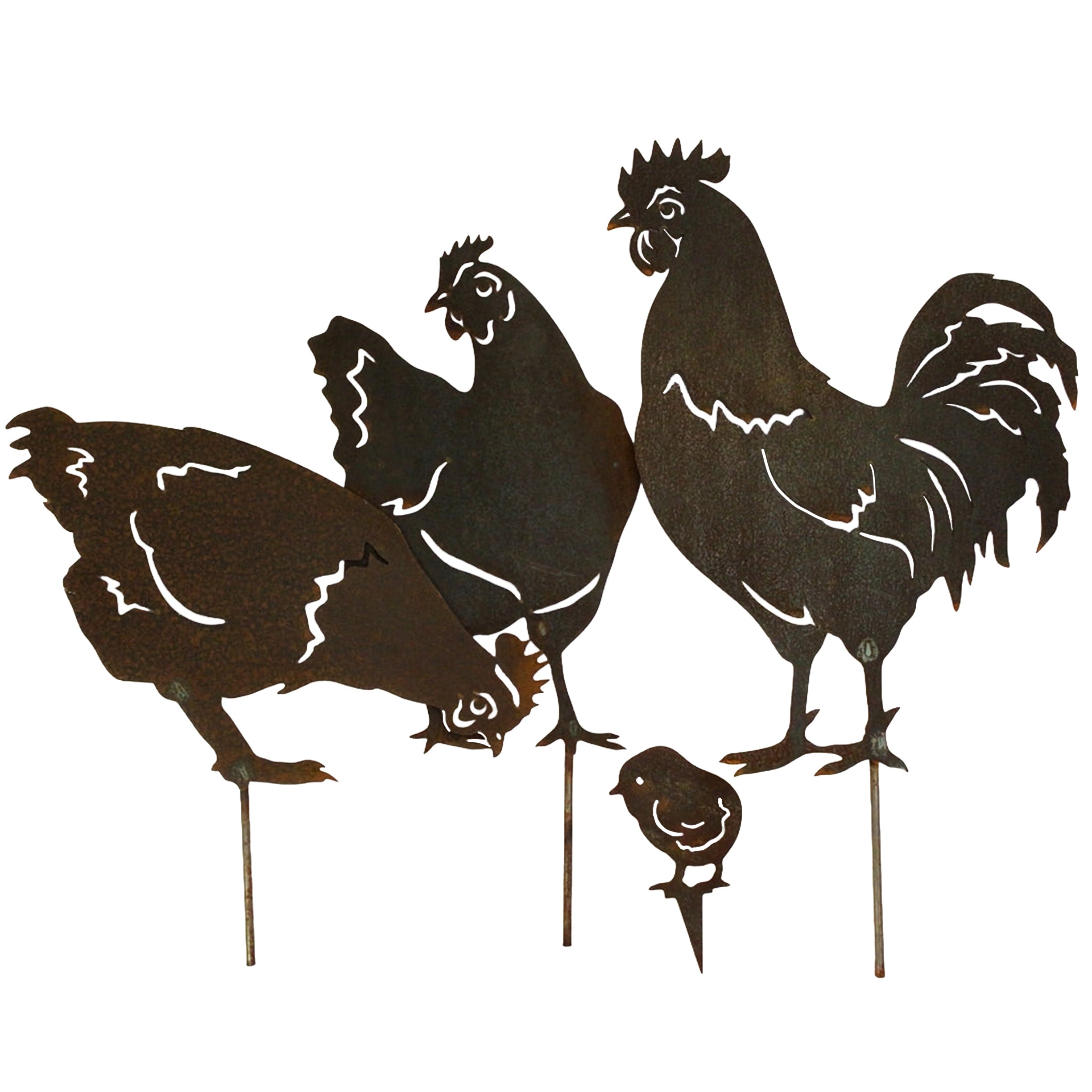 Hen - standing