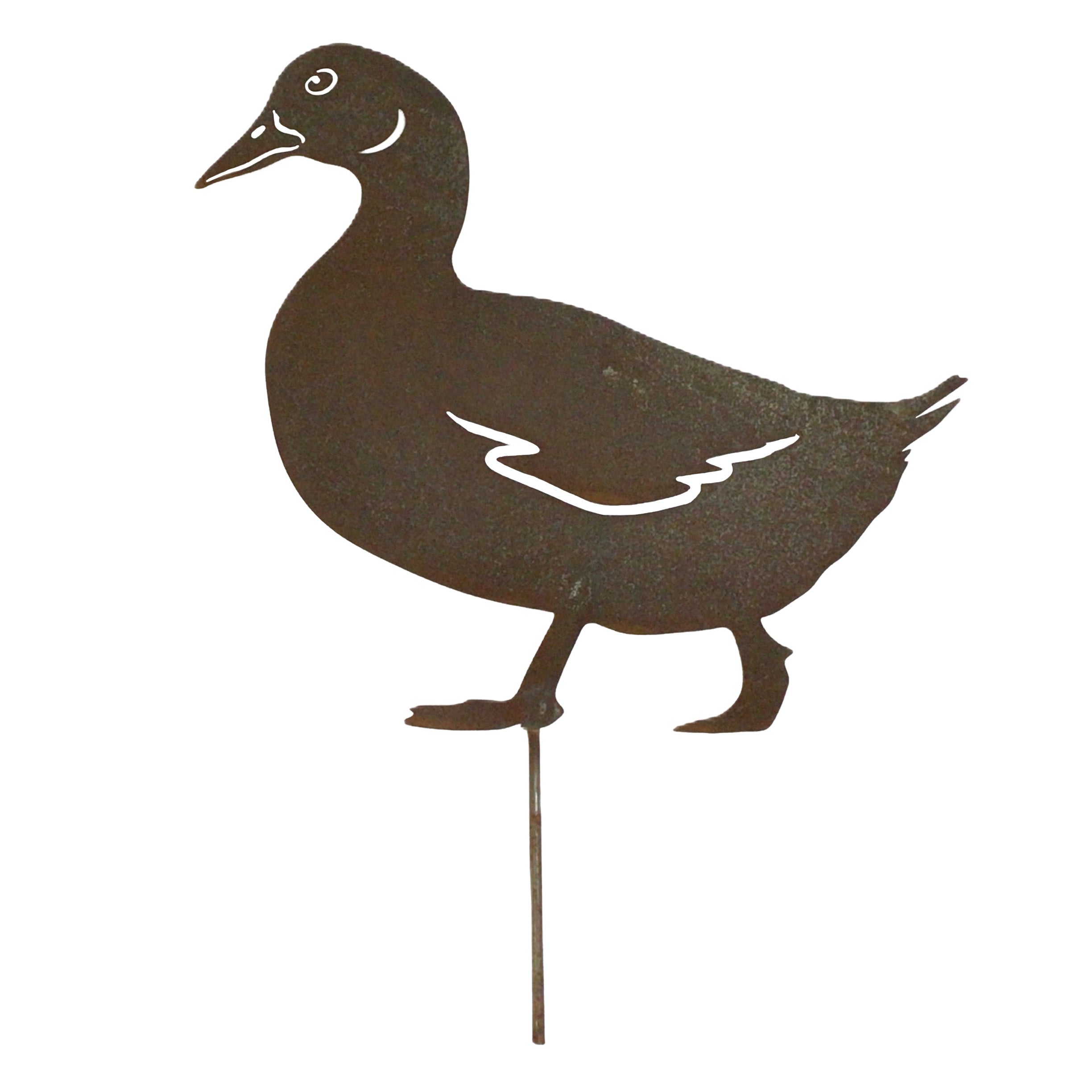 Duck - Female