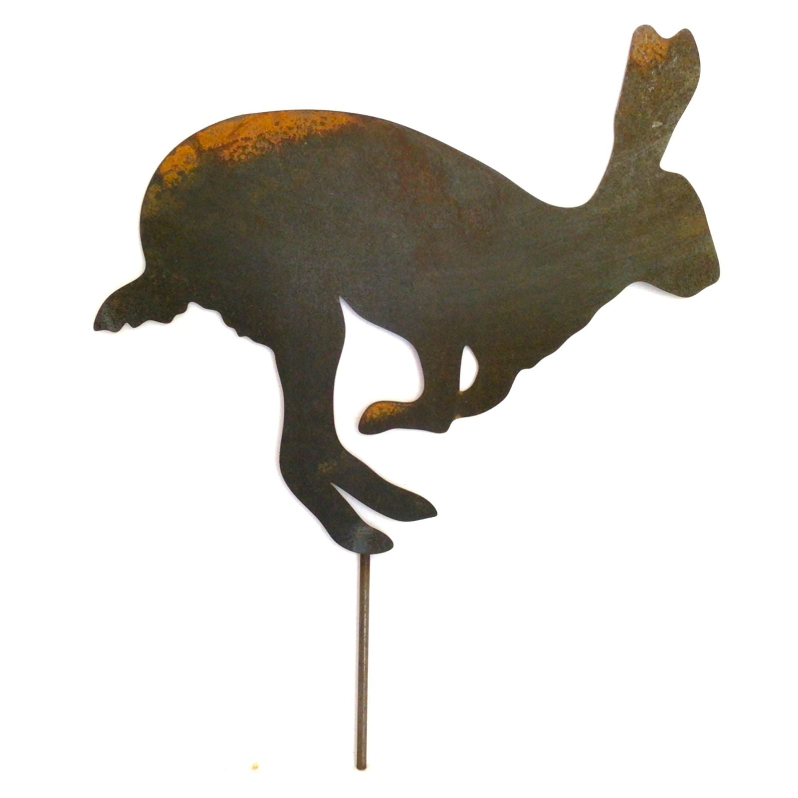 Hare - hopping