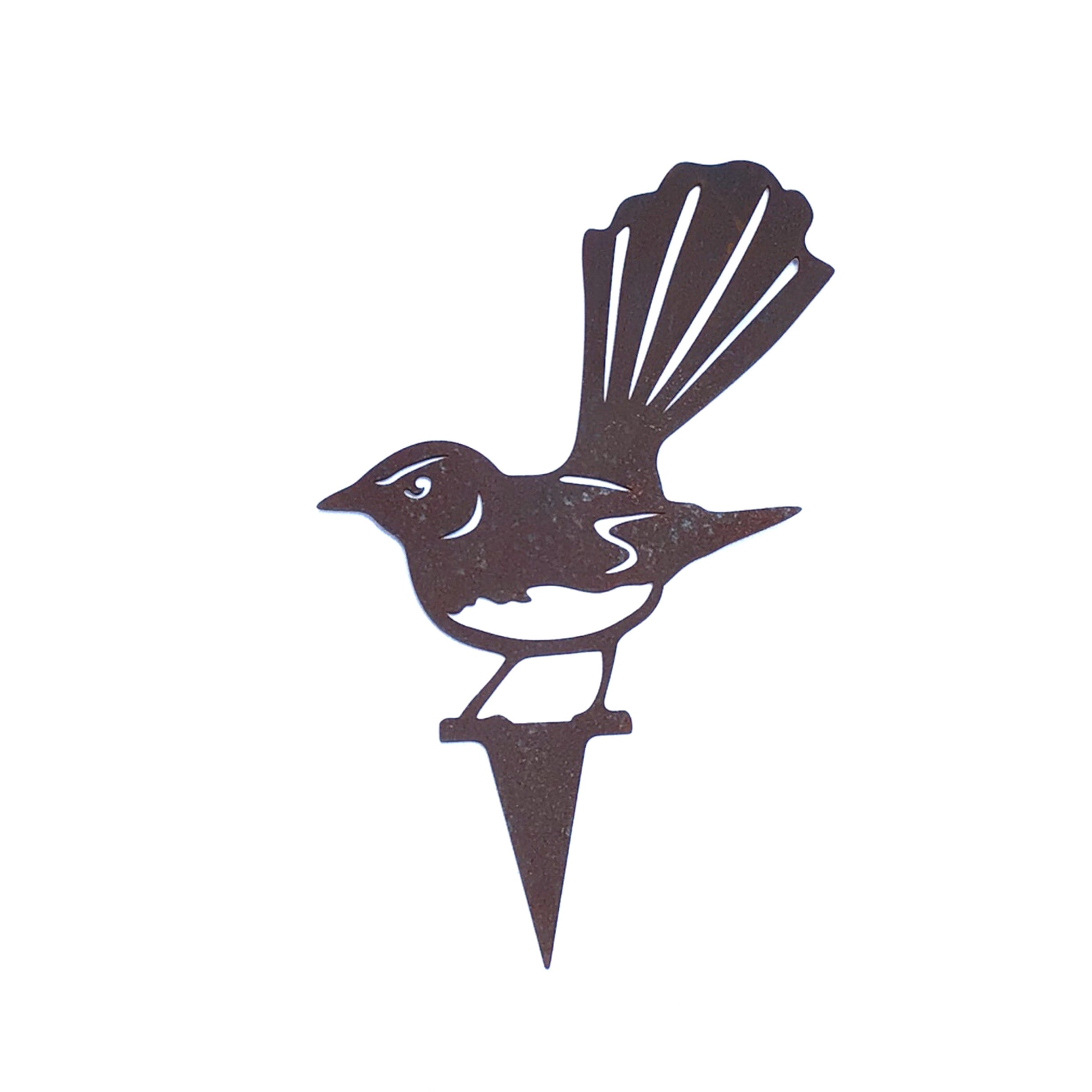Willie Wagtail