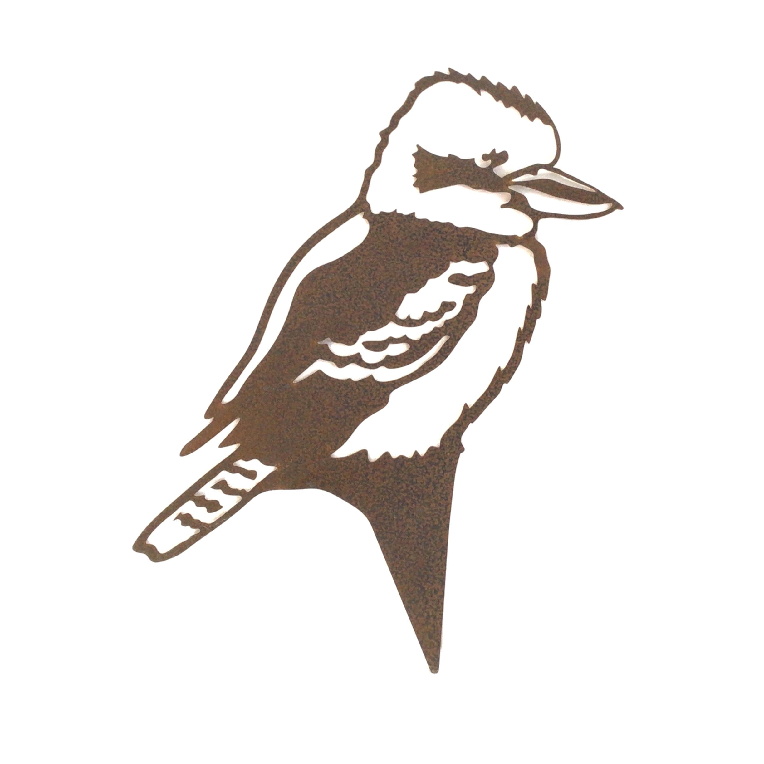 Kookaburra