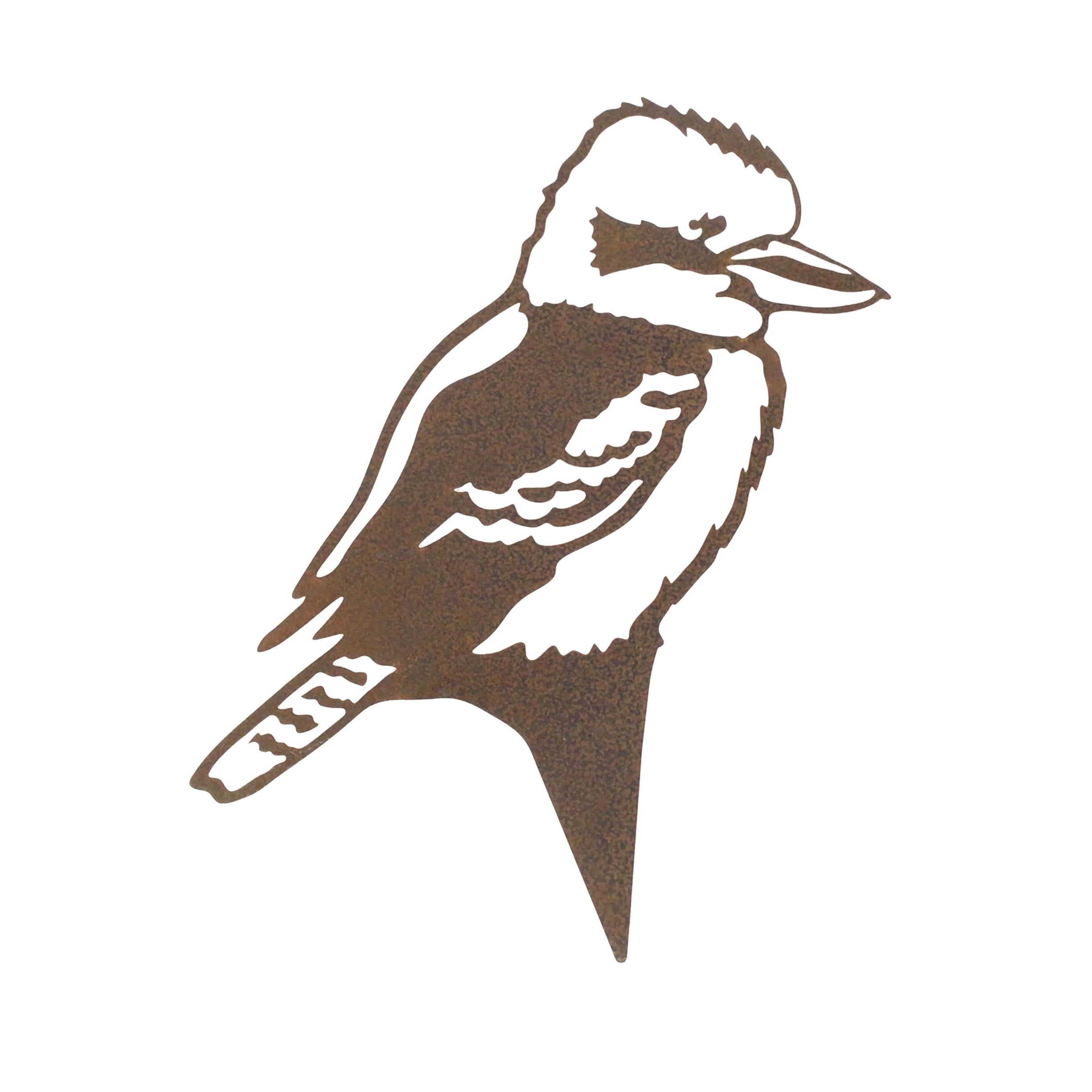 Kookaburra