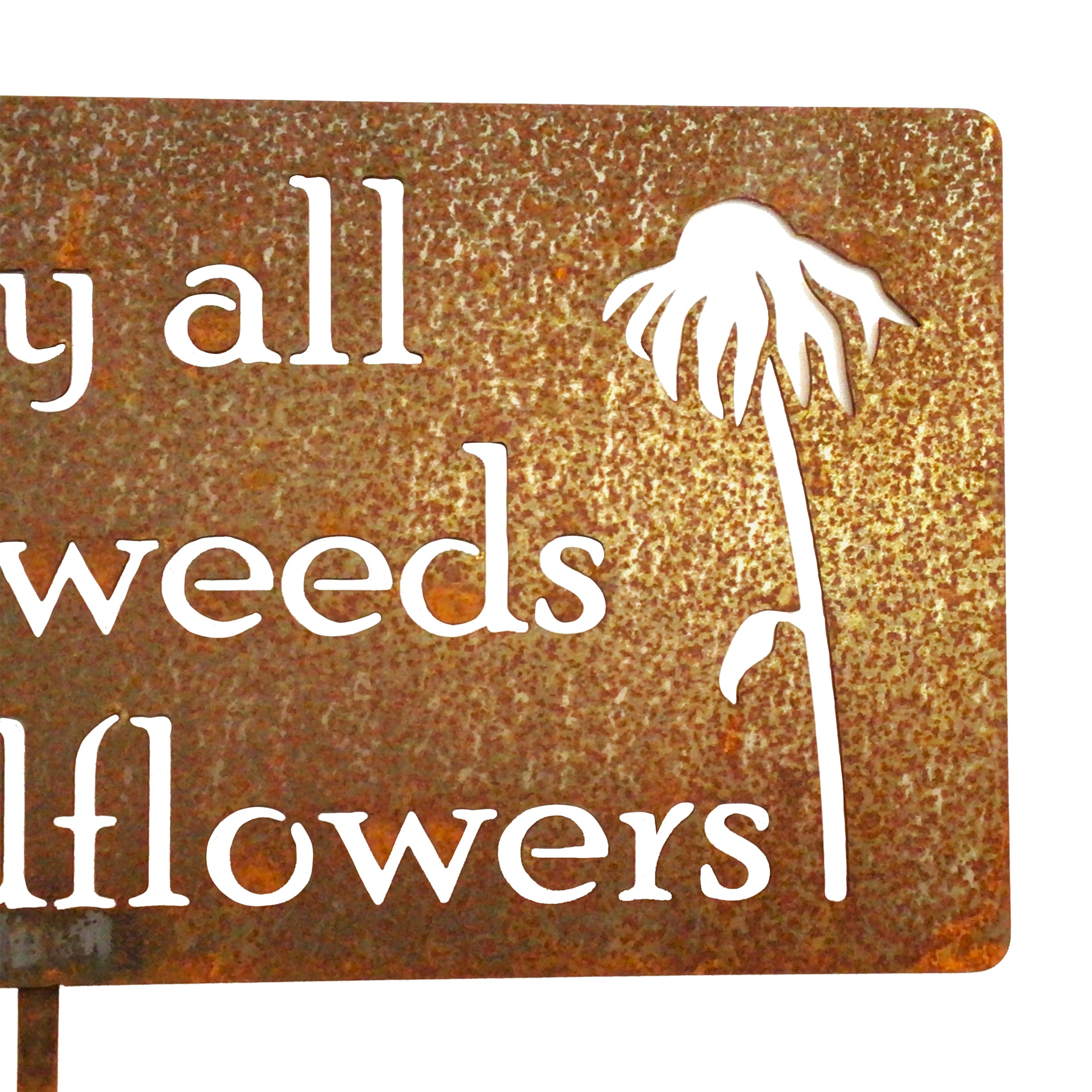 May all your Weeds be Wildflowers