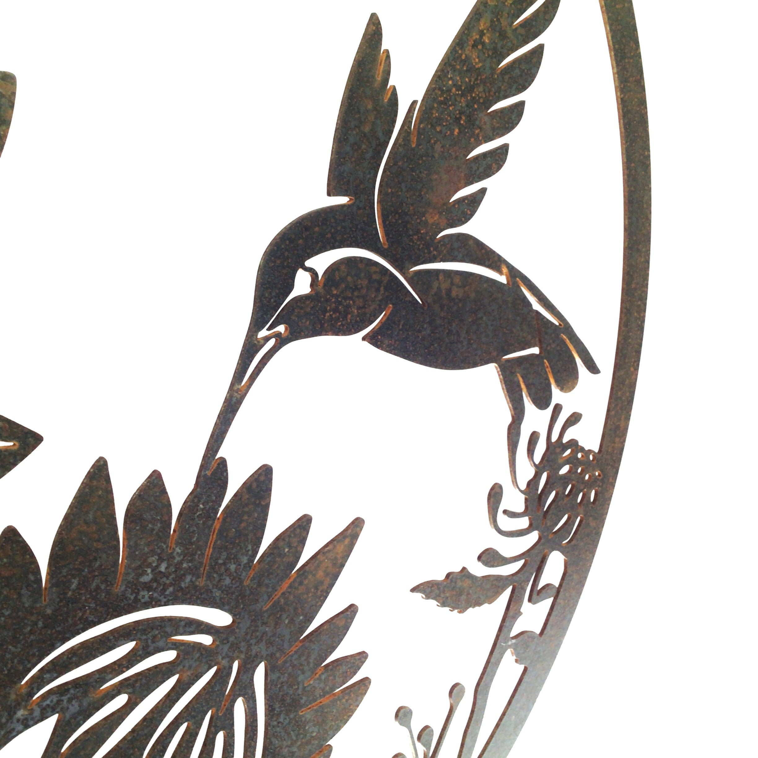 Hummingbird & Protea - Medium wall circle