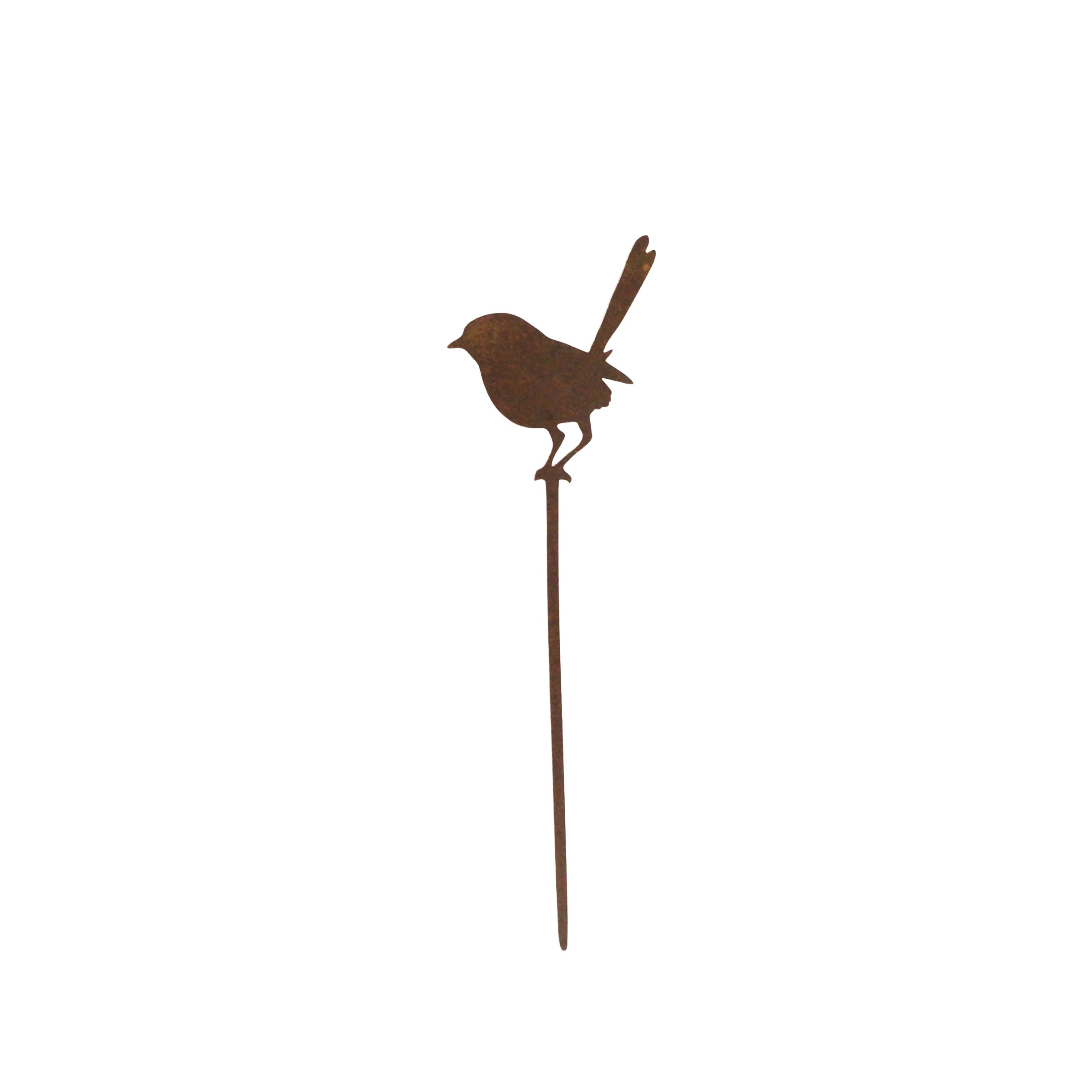 Tiny Wren