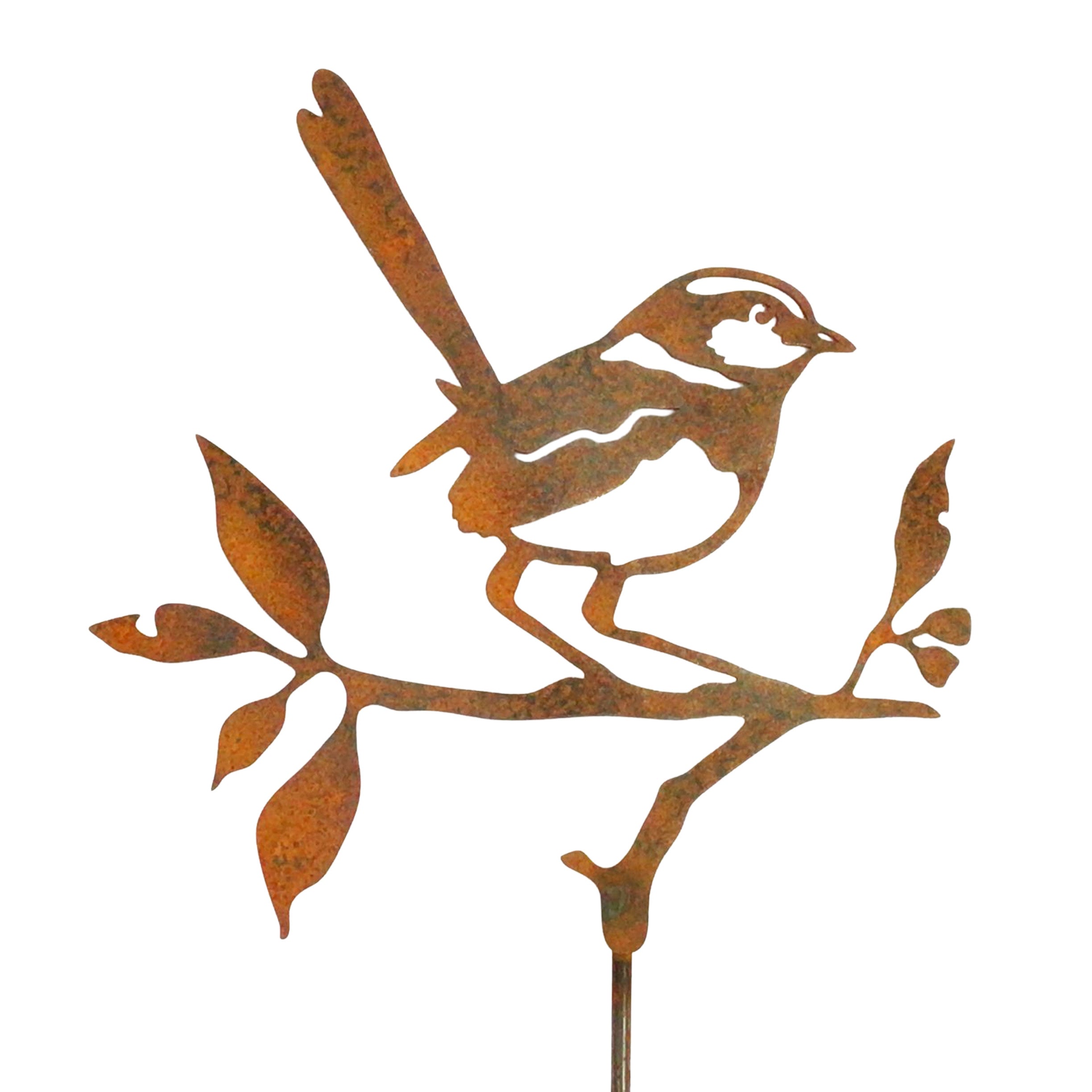 Wren perched on a branch