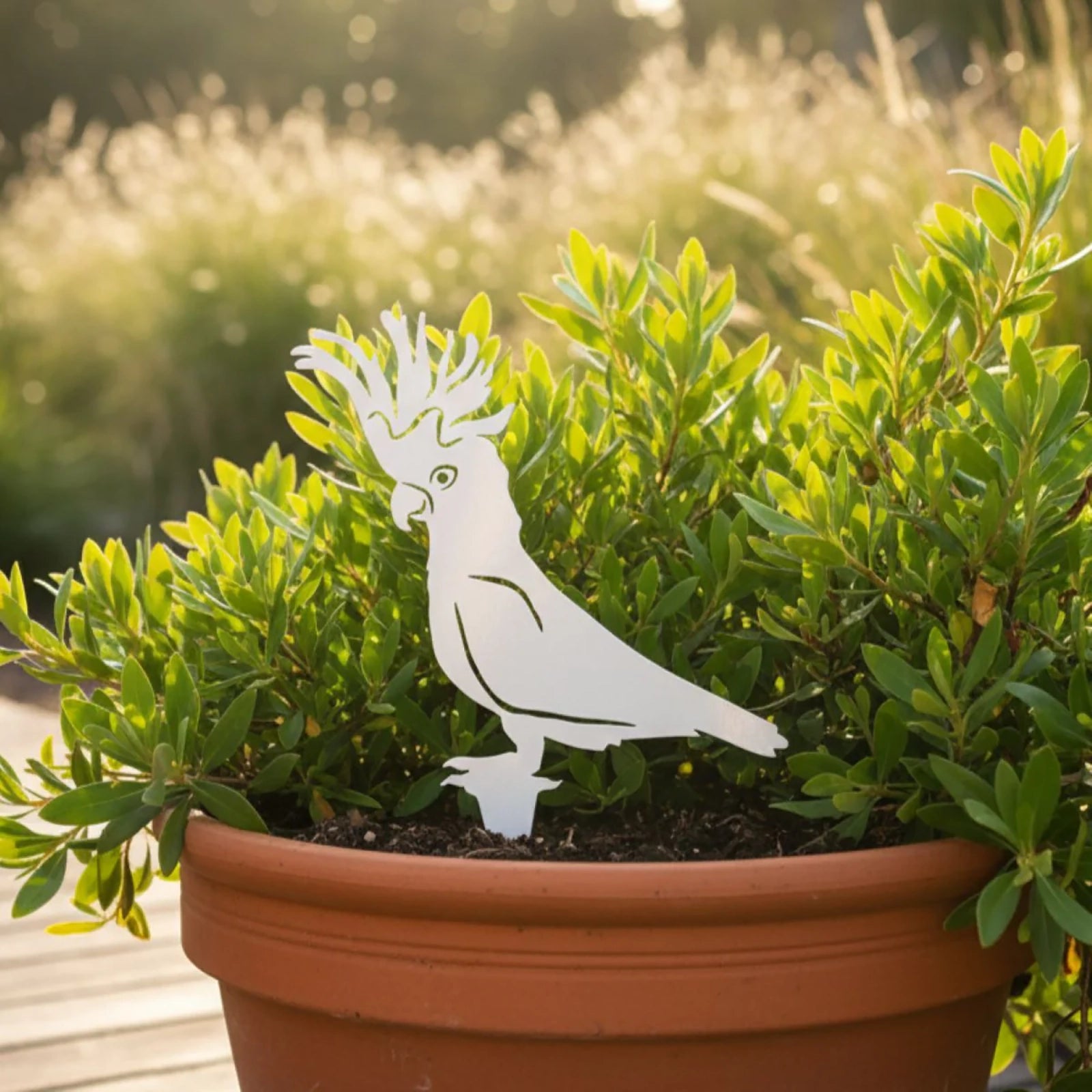 Cockatoo - powder coated white
