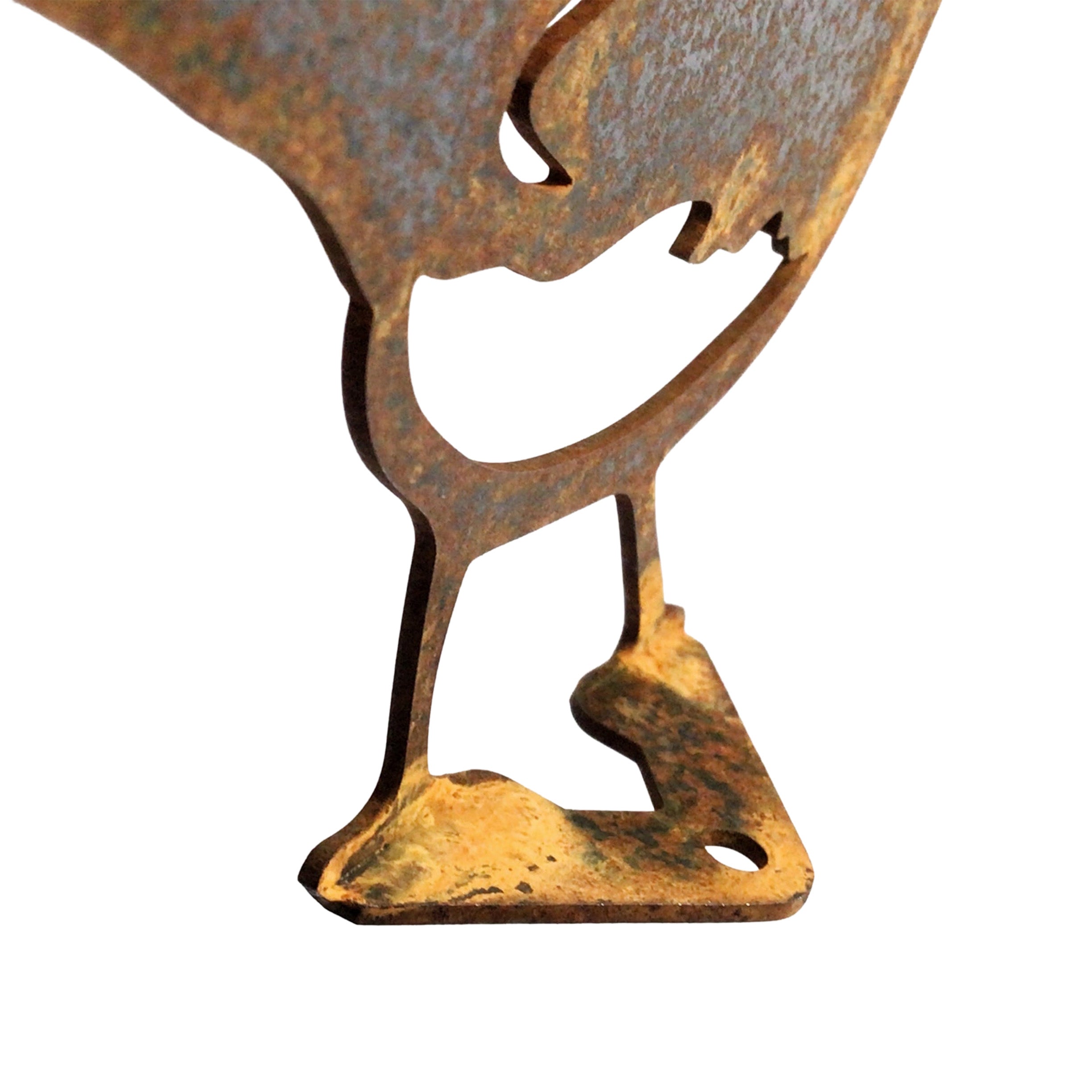 Willie Wagtail - Fence topper