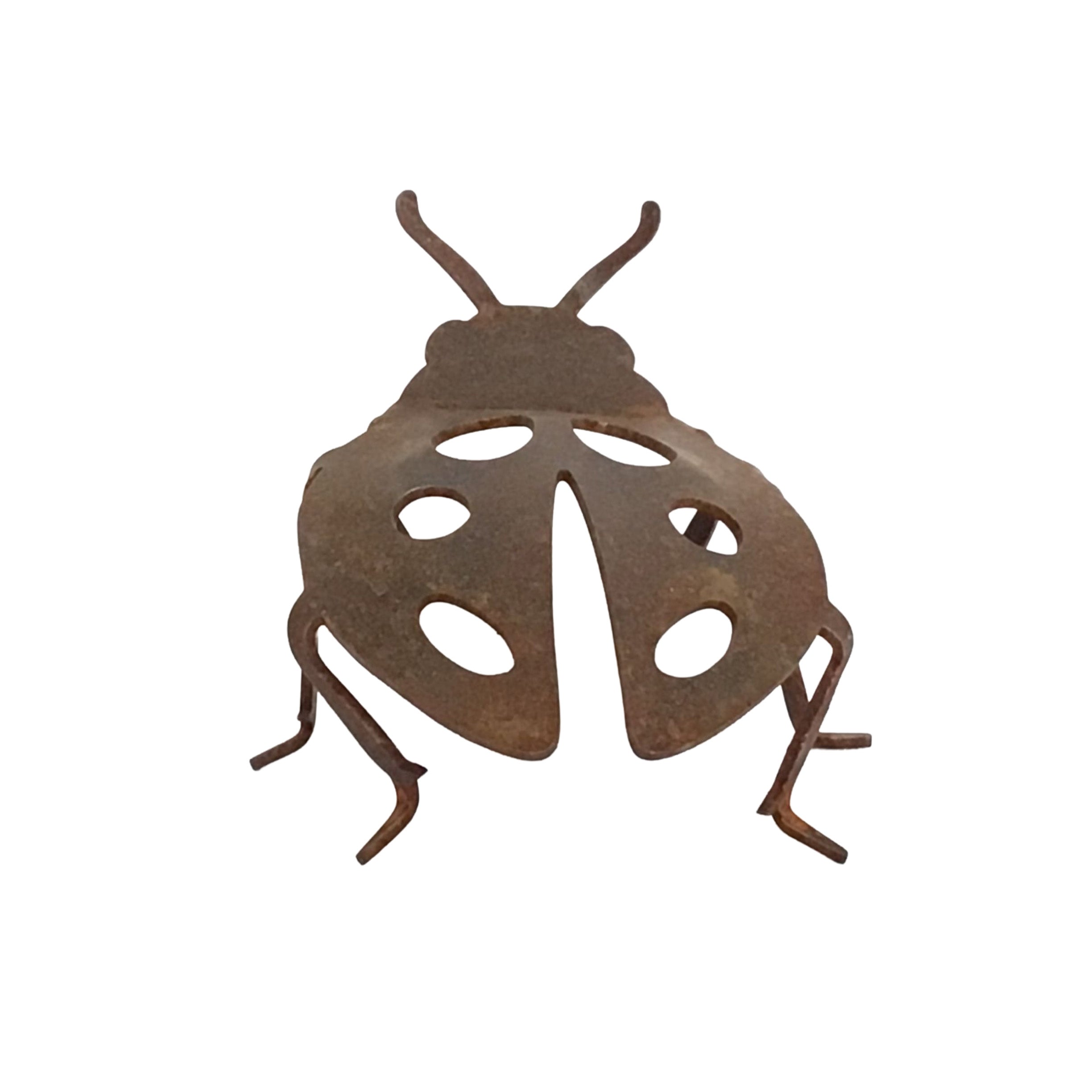 Ladybug - 3D