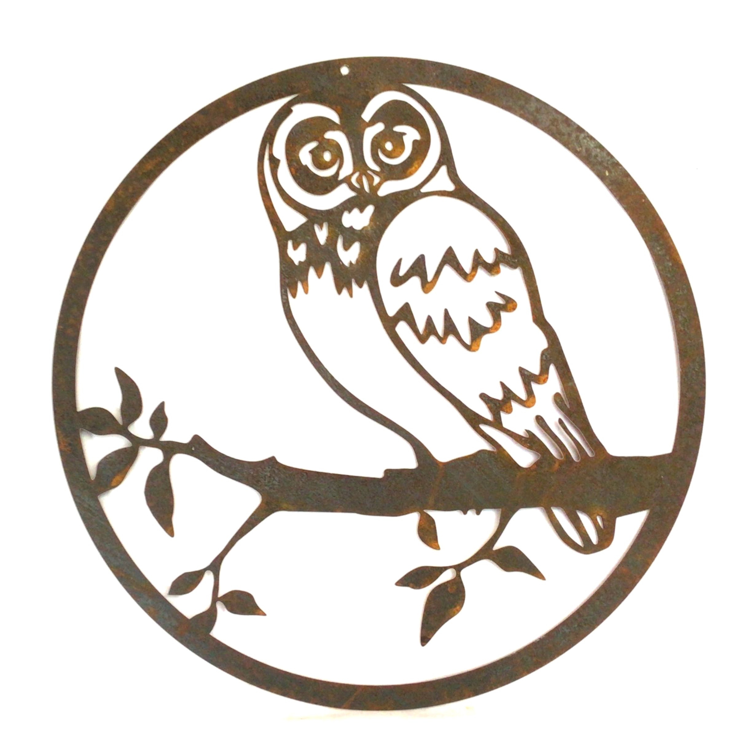 Barn Owl - Medium wall circle