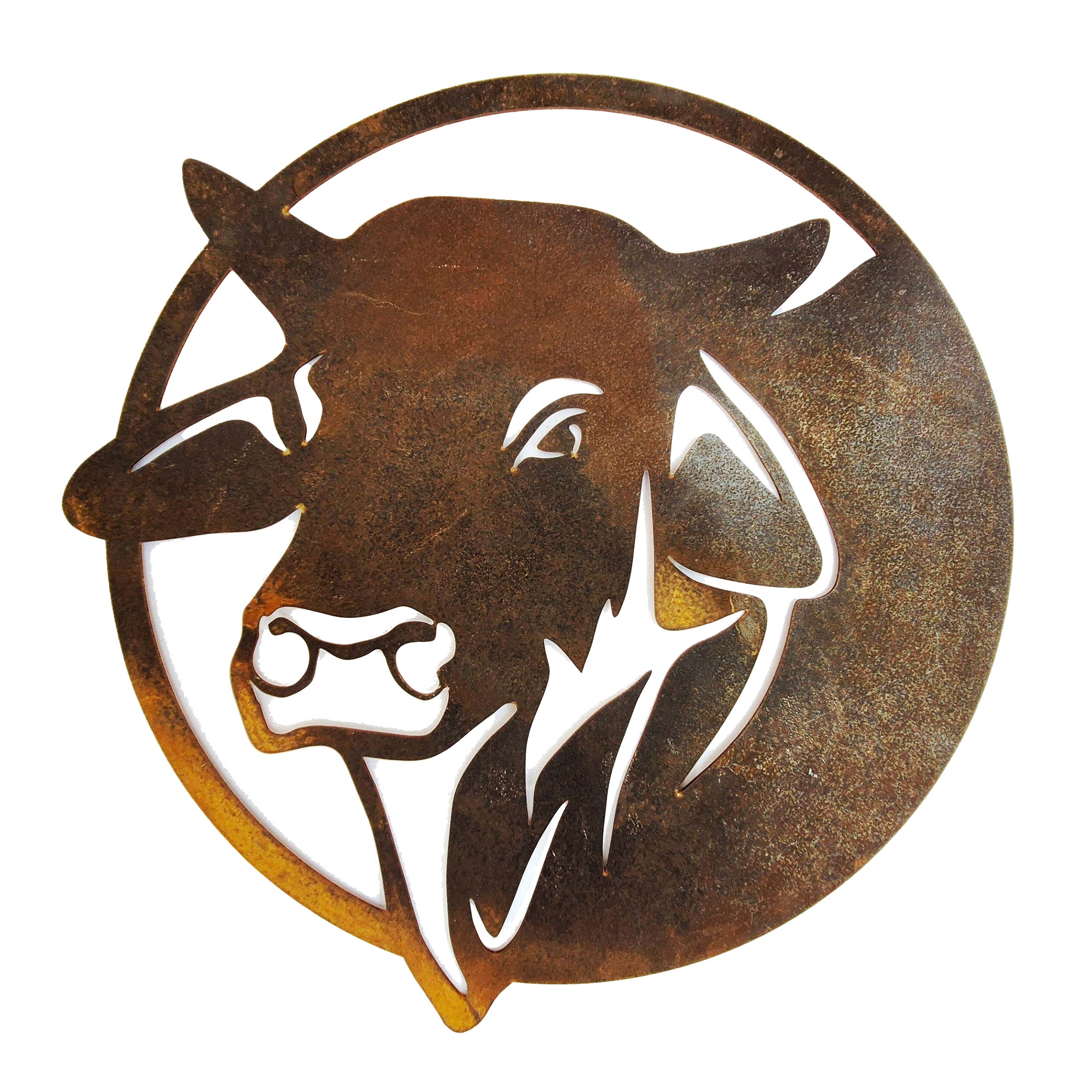 Brahman Bull - Medium wall circle