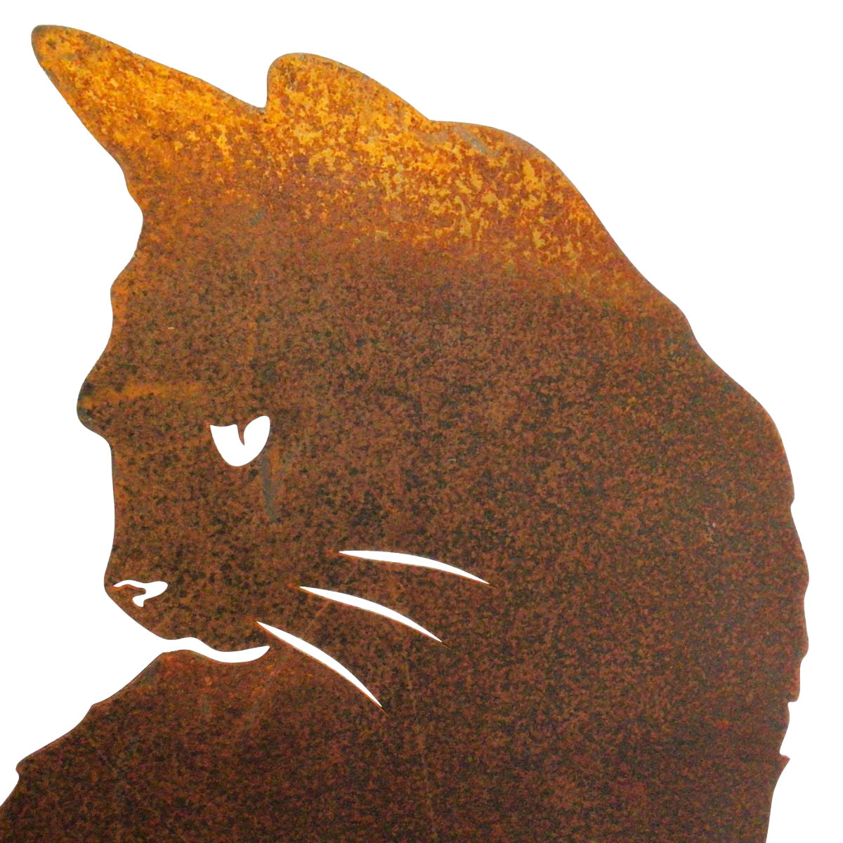 Cat - sitting with fluffy tail