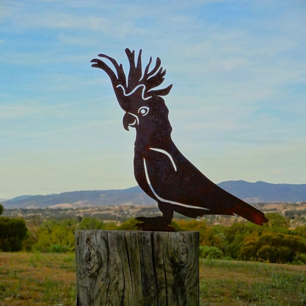Cockatoo - Fence topper