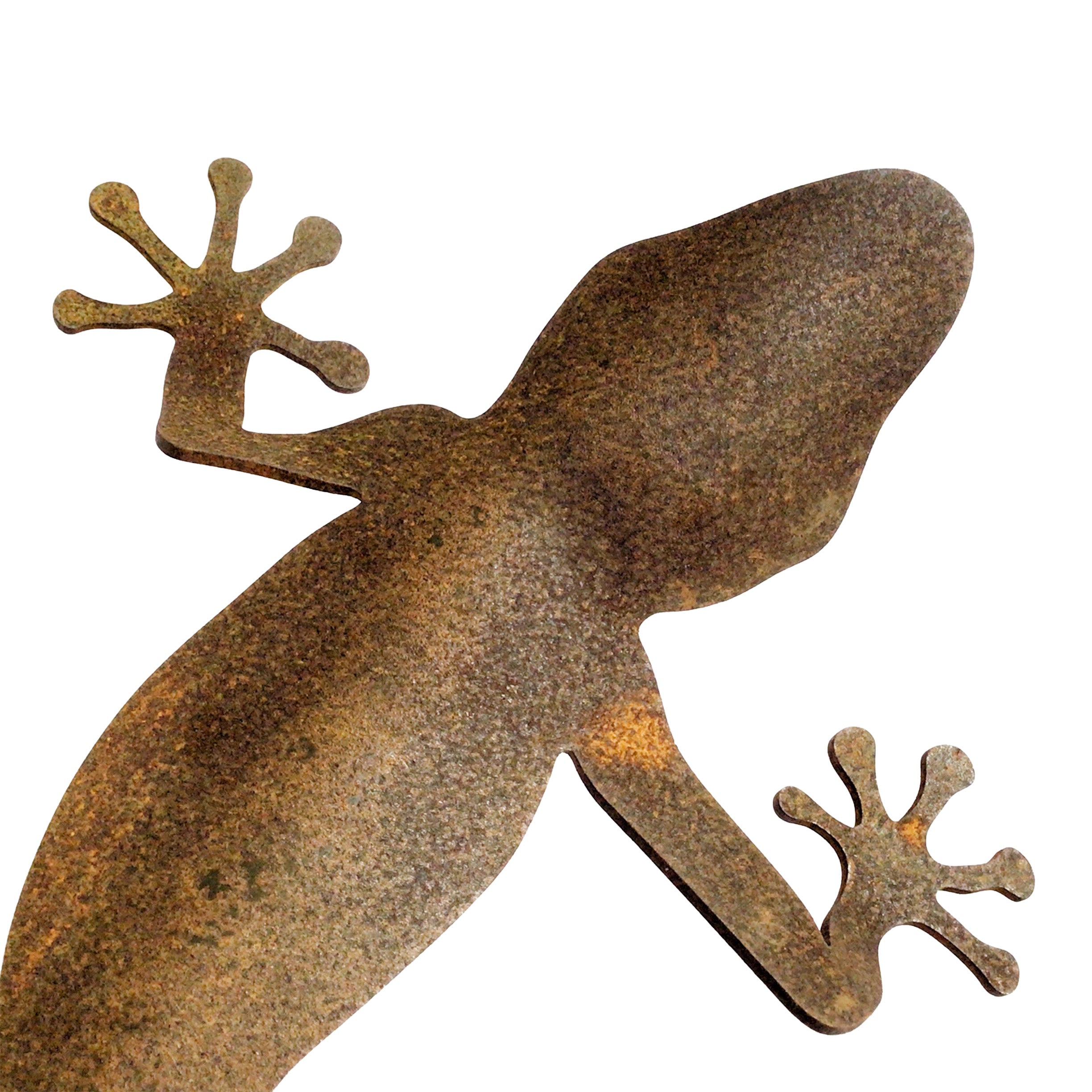 Gecko - 3D