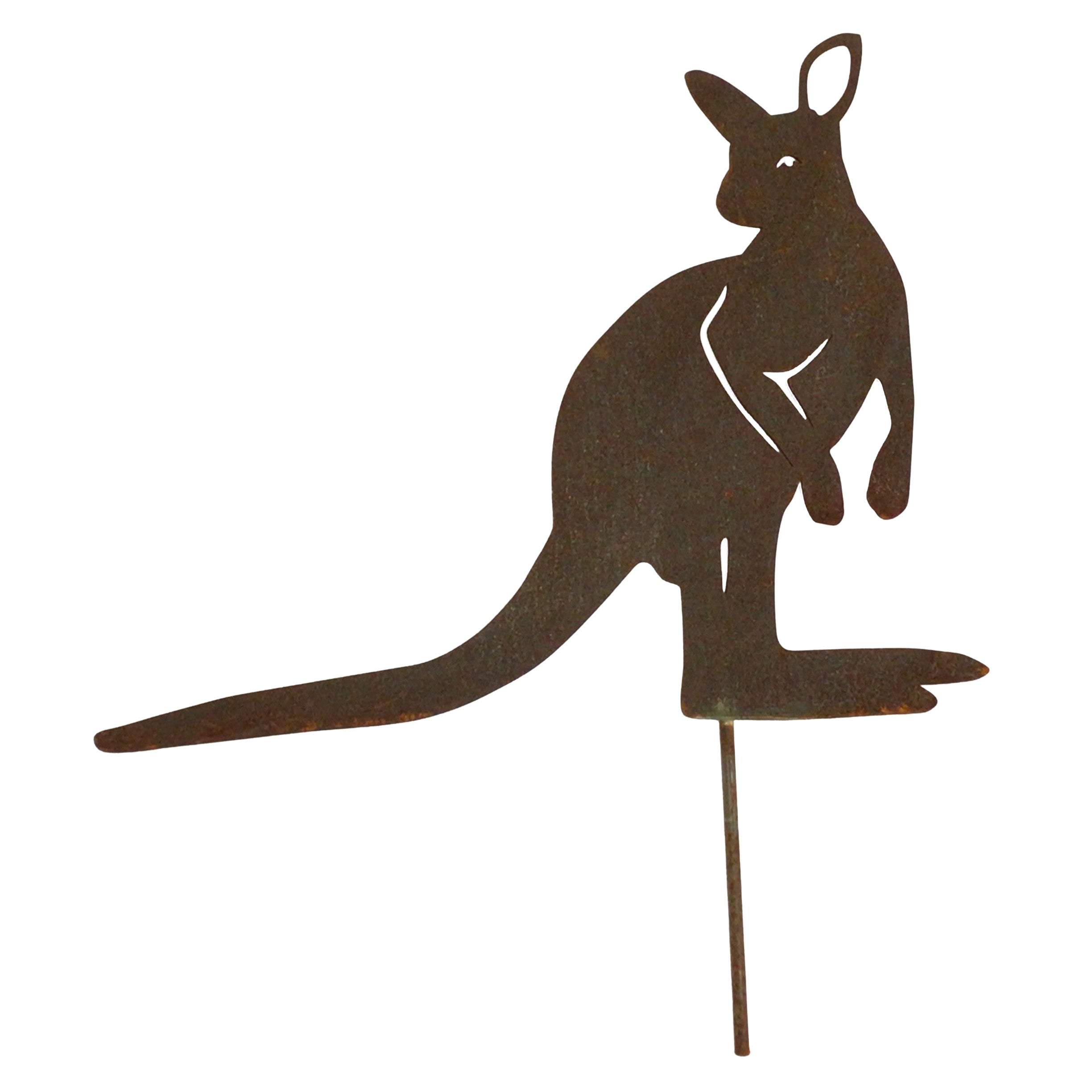 Kangaroo - small joey