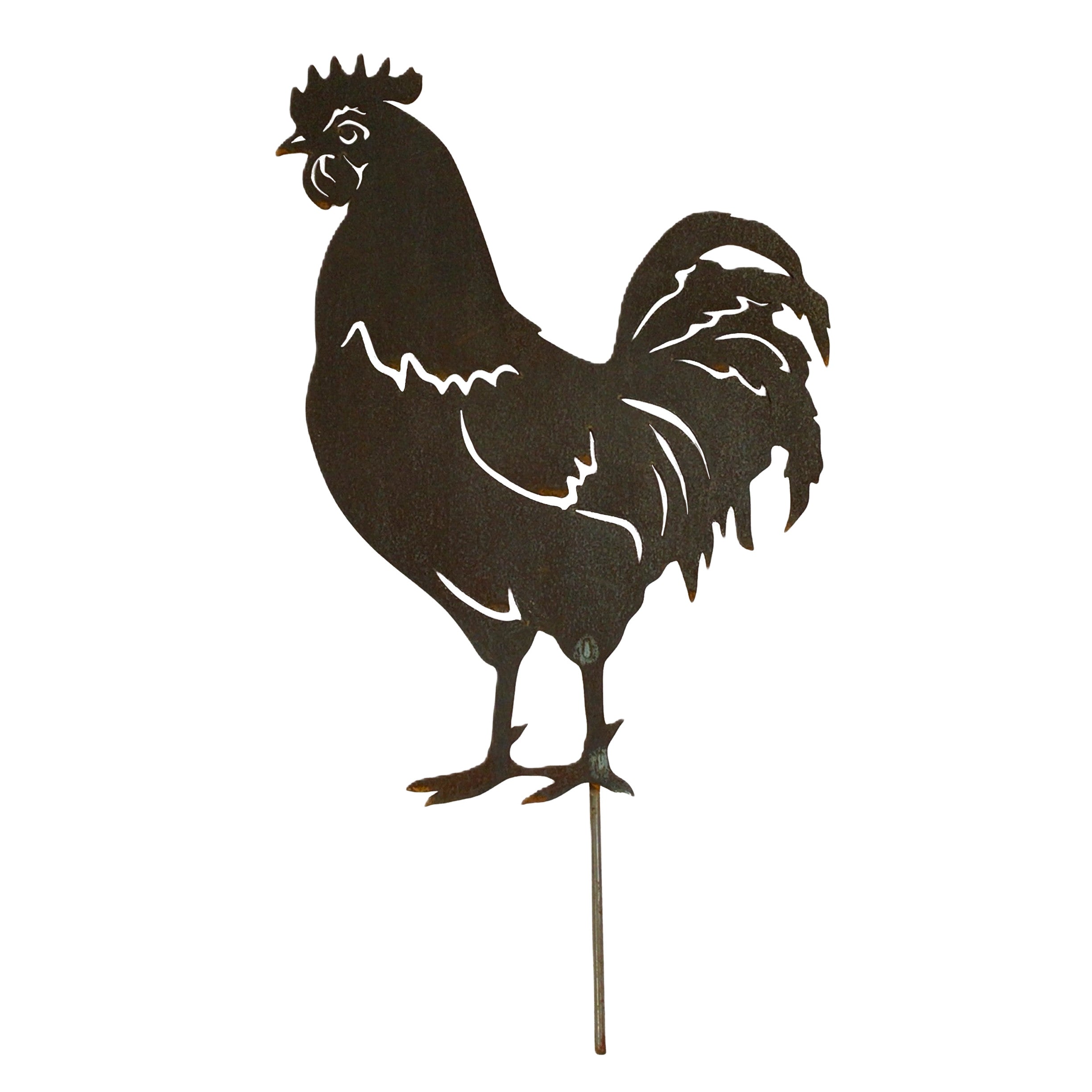 Rooster