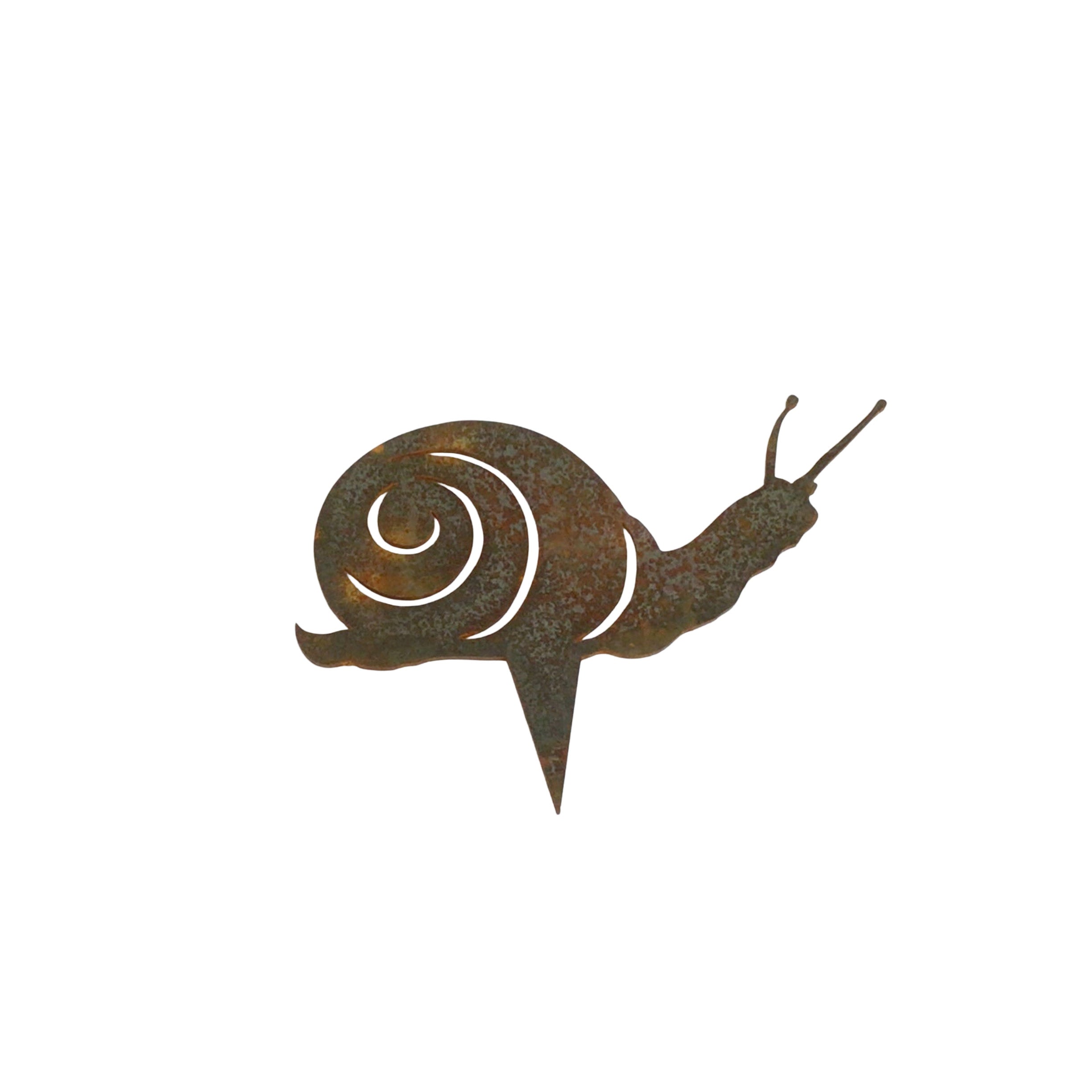Snail