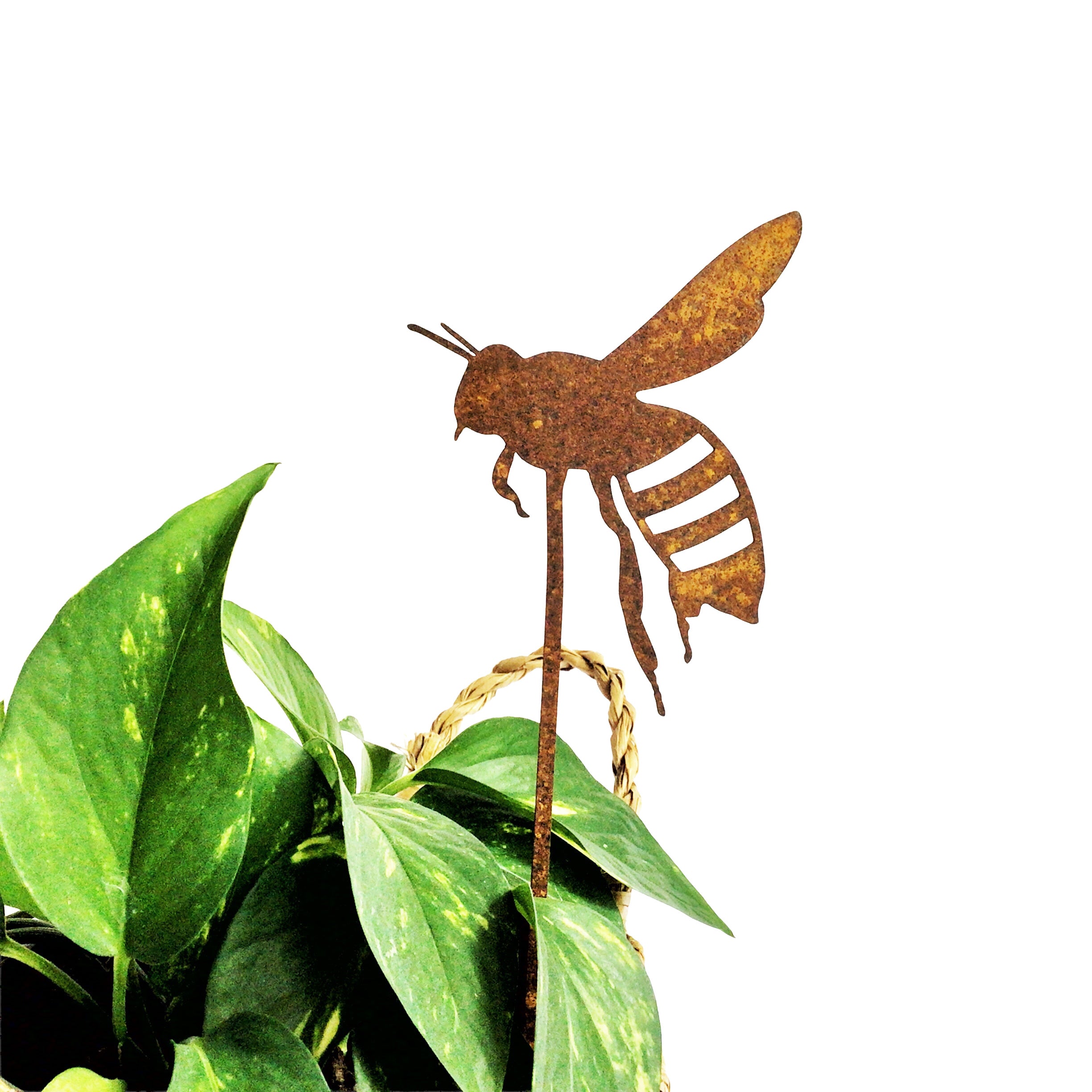 Tiny Bee
