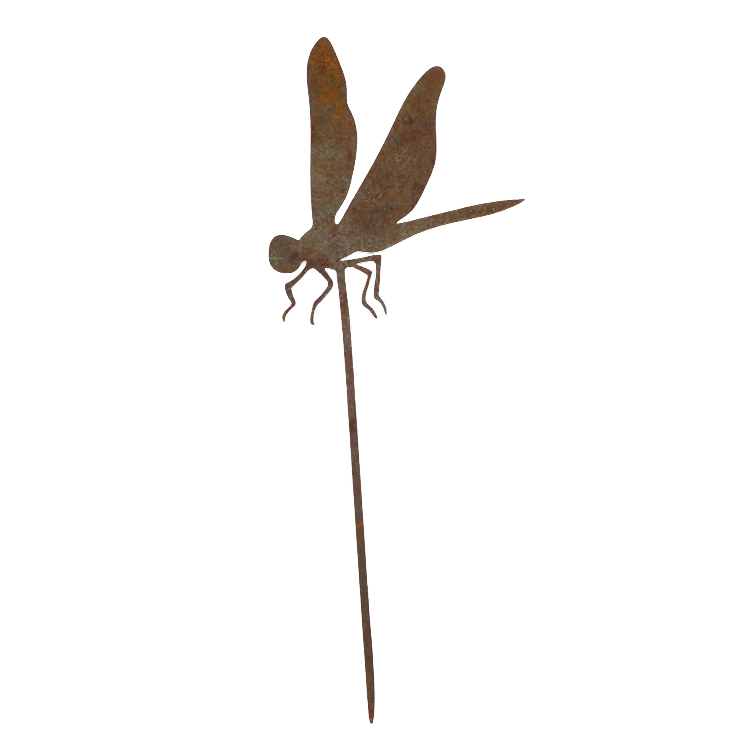Tiny Dragonfly
