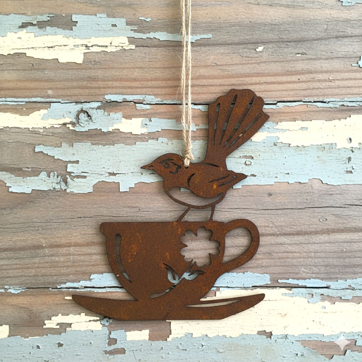 Willie Wagtail on a Teacup