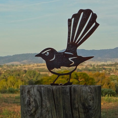 Willie Wagtail - Fence topper